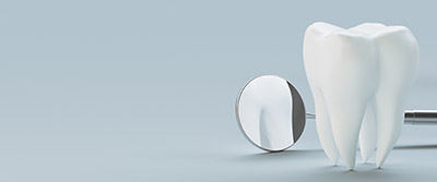 © Aldeca Productions - stock.adobe.com